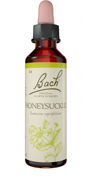 Bach Flower Honeysuckle 20ml