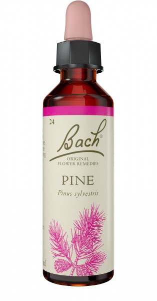 Bach Flower Pine 20ml