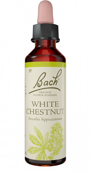 Bach Flower White Chestnut 20ml