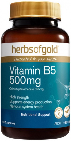 HERBS OF GOLD Vitamin B5 500mg 60c