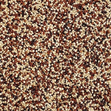Kadac Bulk Organic Quinoa Grain Tri-Colour 25Kg