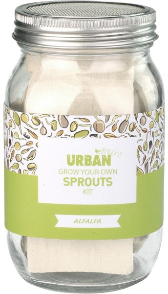 Urban Greens Grow Your Own Sprouts Kit Alfalfa 10x10x17cm  