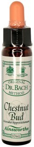 AINSWORTHS Original Dr. Bach Method Flower Essence Chestnut Bud 10ml