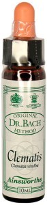 AINSWORTHS Original Dr. Bach Method Flower Essence Clematis 10ml