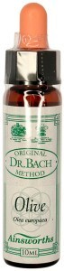 AINSWORTHS Original Dr. Bach Method Flower Essence Olive 10ml