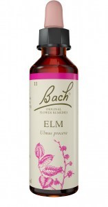 Bach Flower Elm 20ml