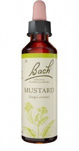 Bach Flower Mustard 20ml