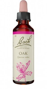 Bach Flower Oak 20ml