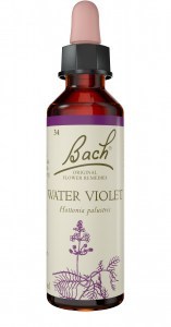 Bach Flower Water Violet 20ml