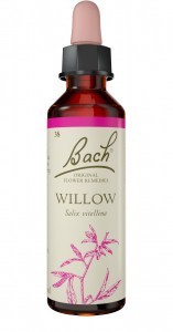 Bach Flower Willow 20ml