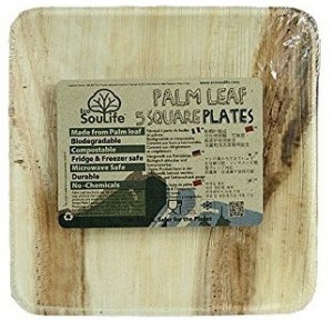 EcoSouLife Palm Leaf (L24 x H2cm) Large Square Plates Natural 5Pc Set