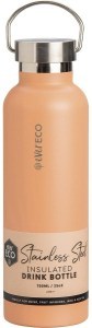 Ever Eco Insulated Stainless Steel Bottle Los Angeles Peach 750ml