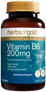 HERBS OF GOLD Vitamin B6 100mg 60t