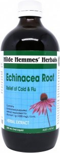 Hilde Hemmes Echinacea Root - Herbal Extract 500ml