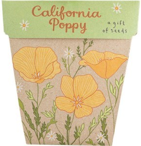 Sow 'N Sow Gift of Seeds California Poppy  