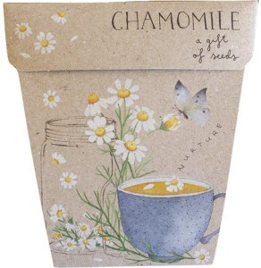 Sow 'N Sow Gift of Seeds Chamomile  