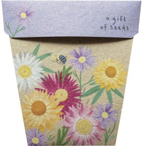 Sow 'N Sow Gift of Seeds Daisies Native  