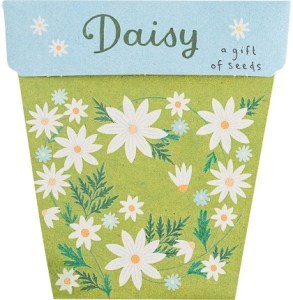 Sow 'N Sow Gift of Seeds Daisy  