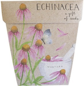 Sow 'N Sow Gift of Seeds Echinacea  