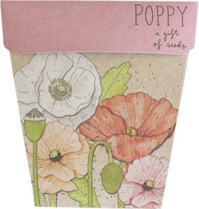 Sow 'N Sow Gift of Seeds Poppy  