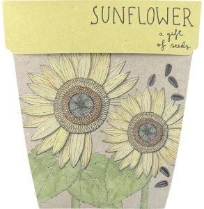 Sow 'N Sow Gift of Seeds Sunflower  