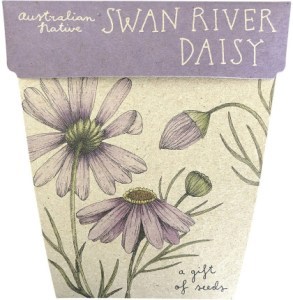 Sow 'N Sow Gift of Seeds Swan River Daisy  