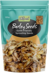 UNTAMED HEALTH Organically Grown Sprouting Seeds Barley 100g