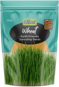 Untamed Wheat Earth-Friendly Sprouting Seeds 100g