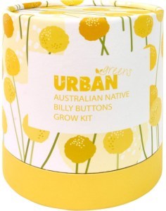 Urban Greens Australian Native Grow Kit Billy Buttons  