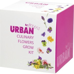 Urban Greens Grow Kit Culinary Flowers 10x10cm  
