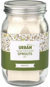 Urban Greens Grow Your Own Sprouts Kit Radish 10x10x17cm  